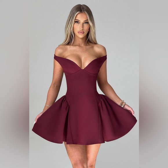 babyboo Dresses & Skirts - BABYBOO MARLA Mini Dress in CHERRY LACQUER Size XS